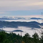 Lejlighed Gaishoell-wasserfaelle Schwarzwald *