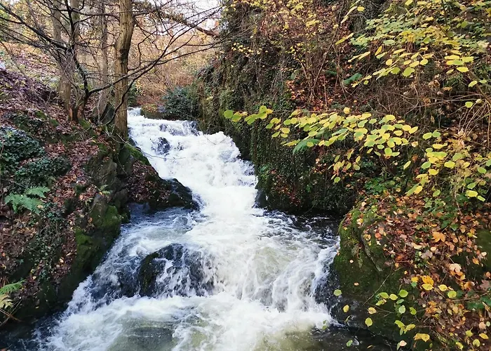Apartamento Gaishoell-wasserfaelle Schwarzwald *